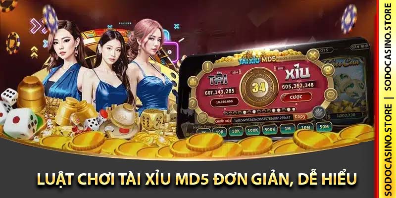 luật chơi tài xỉu md5 đơn giản, dễ hiểu